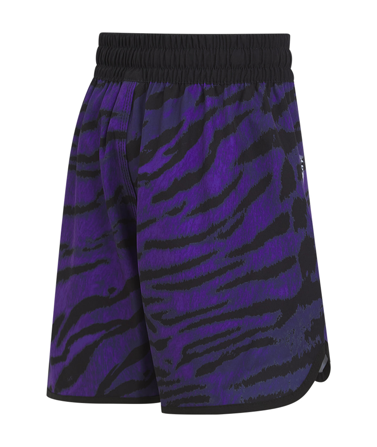 Kids Recharged Grappling Shorts - Purple Tiger
