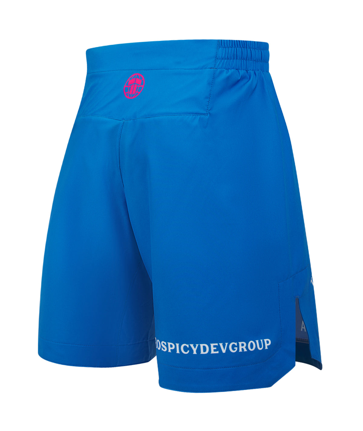 Ladies Autsiders Social Club Grappling Shorts - Blue