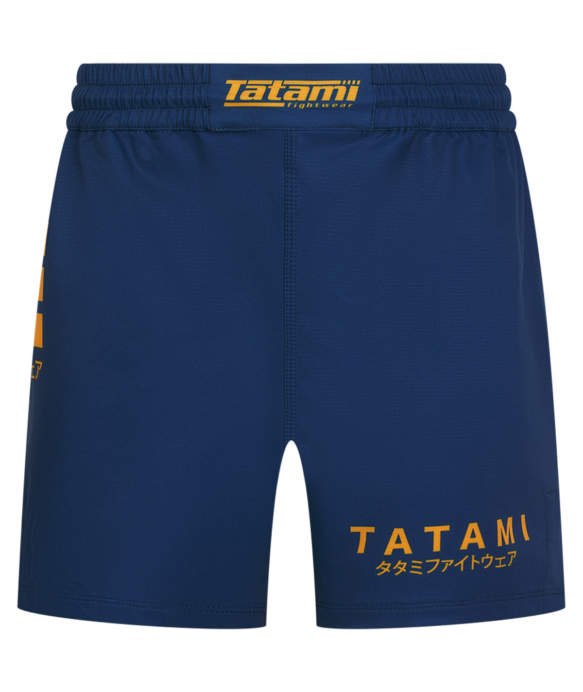 Katakana V2 High Cut Shorts - Blue