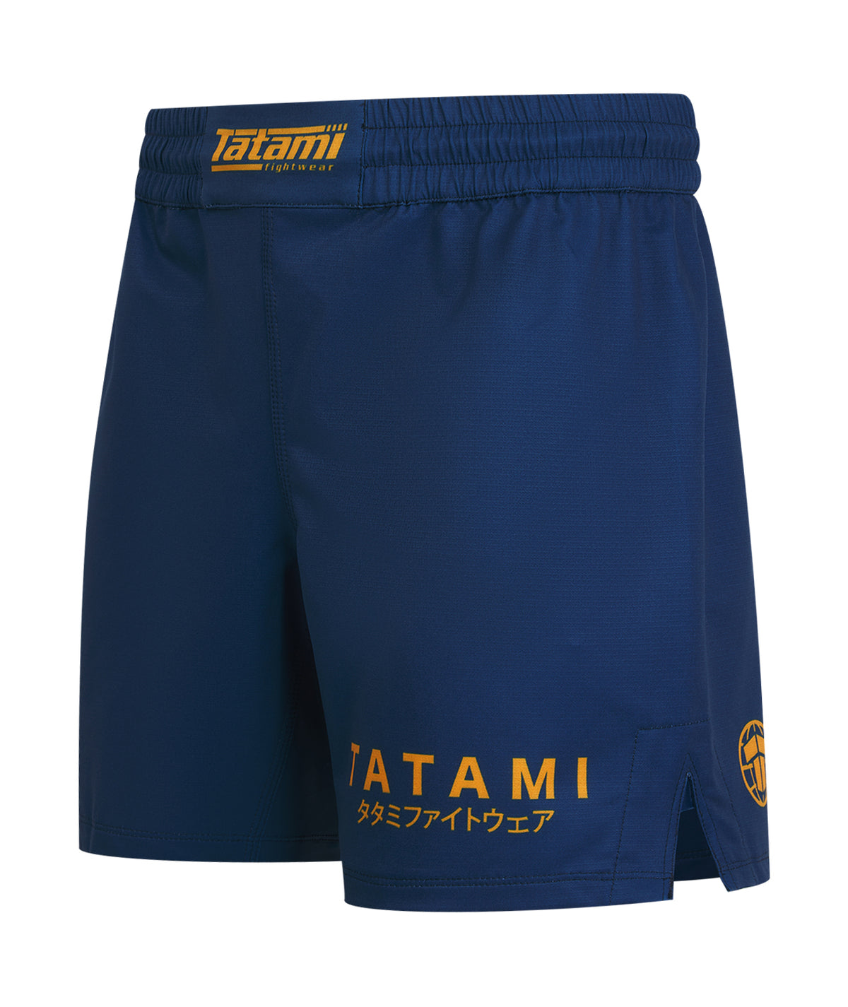 Katakana V2 High Cut Shorts - Blue