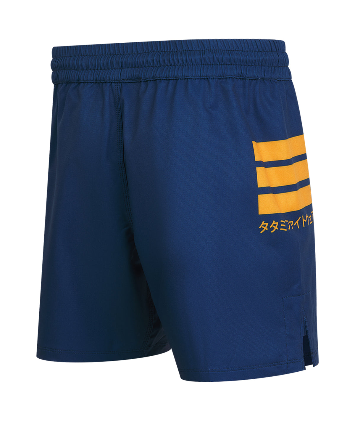 Katakana V2 High Cut Shorts - Blue