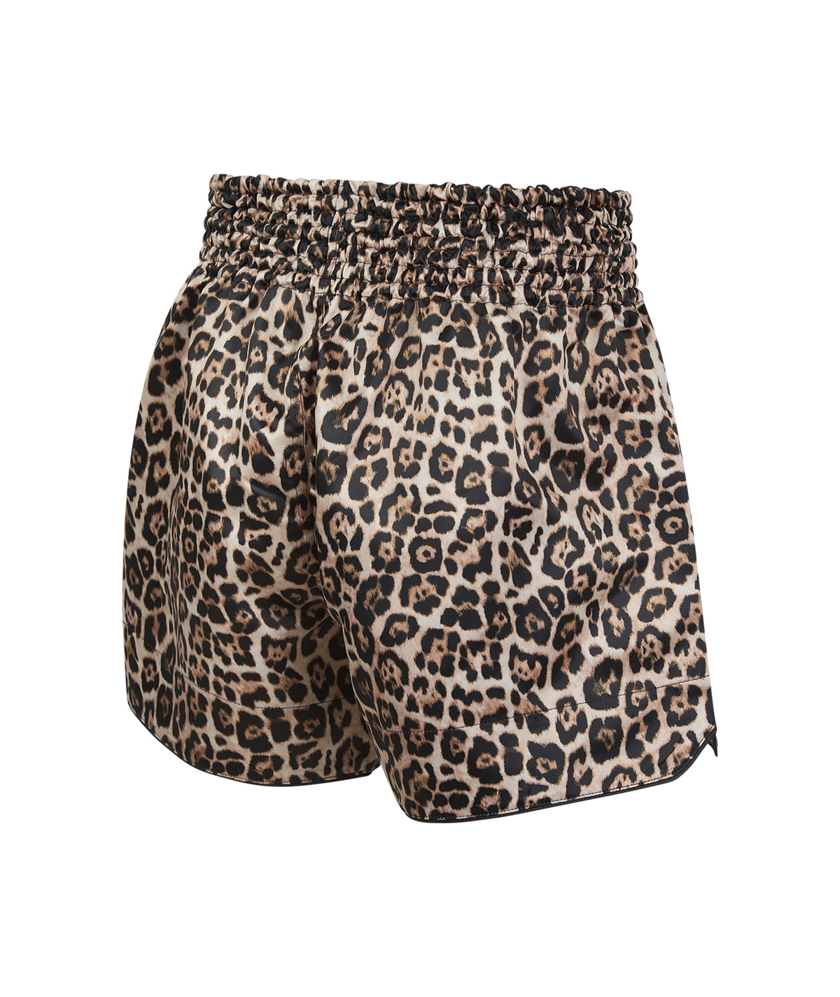 Muay Thai Shorts - Leopard
