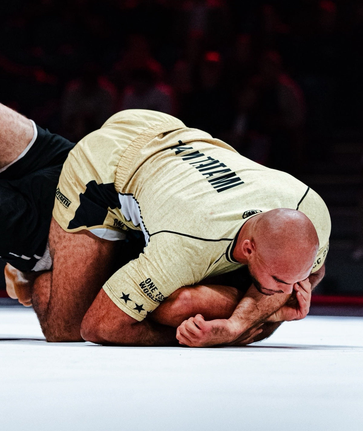 Team Tatami Short Sleeve Rash Guard - Gold